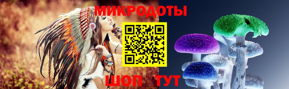 Галлюциногенные грибы Psilocybine cubensis Воткинск